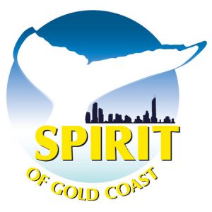 Spirit of Gold Coast Whale Watching - Brisbane Tourism